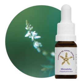 Floral Mimozinha 10 ml