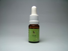 Floral Ficus 10 ml