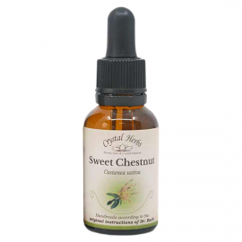 Floral Sweet chestnut 20 ml