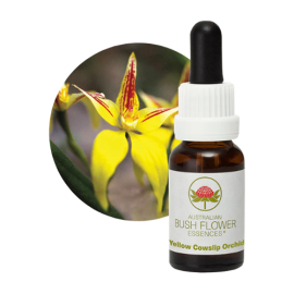 Floral Yellow Cowslip Orchid 15 ml