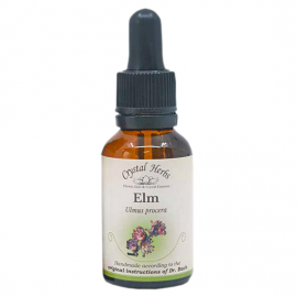 Floral Elm 20 ml