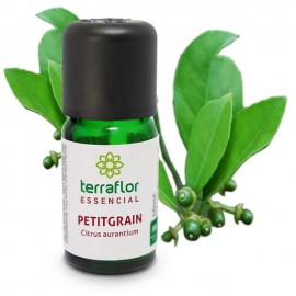 Seiva de Sangue de Dragão 10ml - Terraflor - Naturallice