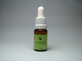 Floral Ficus Krakatoa 10 ml