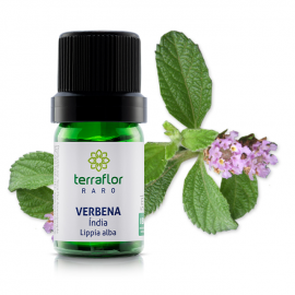 leo Essencial Verbena ndia 5ml