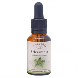 Floral Scleranthus 20 ml