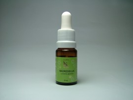 Floral Madressilva 10ml 