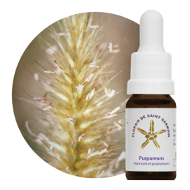 Floral Purpureum 10 ml