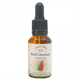 Floral Red Chestnut 20 ml