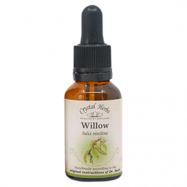 Floral Willow 20 ml