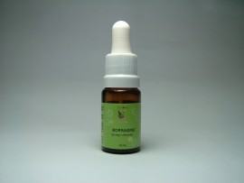 Floral Borragine 10 ml