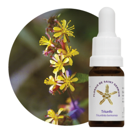 Floral Triunfo 10 ml