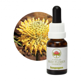 Floral Isopogon 15 ml