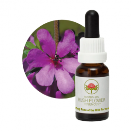 Dog Rose of the Wild Forces Floral do Bush Australiano 15 ml