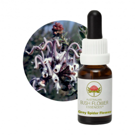 Floral Grey Spider Flower 15 ml