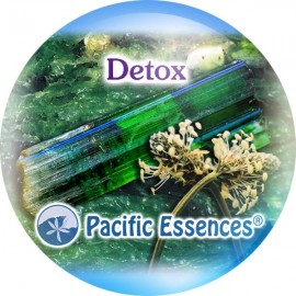 Detox Desintoxicao 25 ml