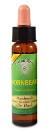 Floral Hornbeam 10 ml