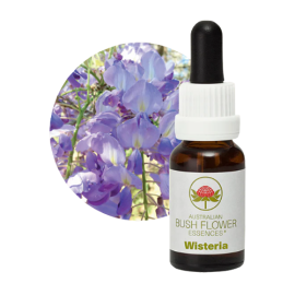 Floral Wisteria 15 ml