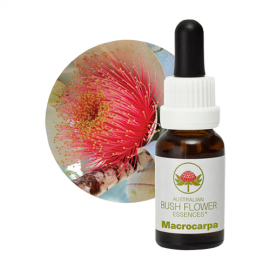 Floral Macrocarpa 15 ml