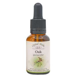 Floral Oak 20 ml