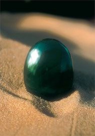 Essncia Mineral Green Jasper 