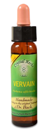 Floral Vervain 10 ml