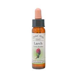 Floral Larch 10 ml