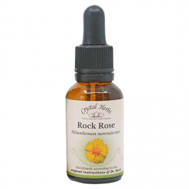 Floral Rock Rose 20 ml