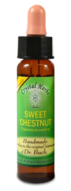 Floral Sweet chestnut 10 ml