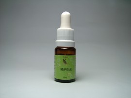 Floral Basilicum 10 ml