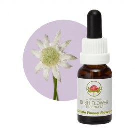 Floral Little Flannel Flower 15 ml