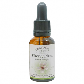 Floral Cherry Plum 20 ml