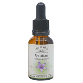 Floral Gentian 20 ml