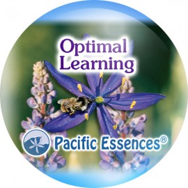 Optimal Learning Aprendizado 25 ml