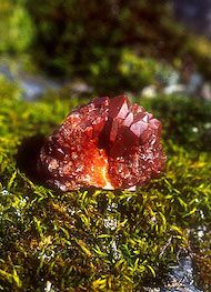 Essncia Mineral Red Quartz 