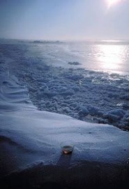 Essncia Ambiental Polar Ice 