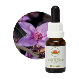 Floral Boronia 15 ml