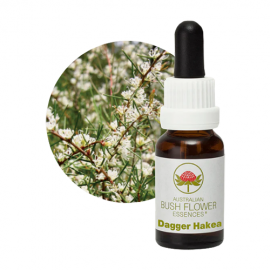 Floral Dagger Hakea 15 ml