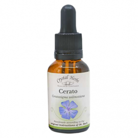 Floral Cerato 20 ml