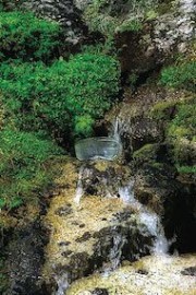 Essncia Ambiental Rock Spring 