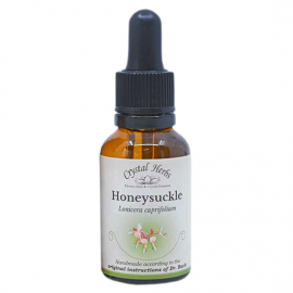 Floral Honeysuckle 20 ml