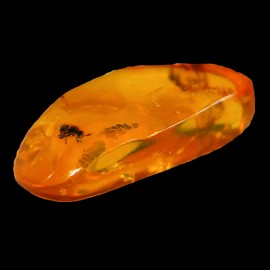 Essncia Mineral Amber PAC