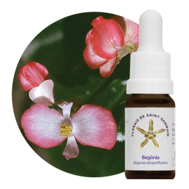 Floral Begnia SG 10 ml