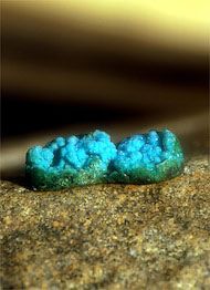 Essncia Mineral Chrysocolla ALA