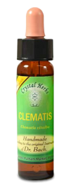 Floral Clematis 10 ml