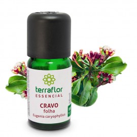 leo Essencial Cravo Folha 10ml