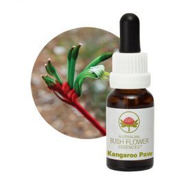 Floral Kangaroo Paw 15 ml