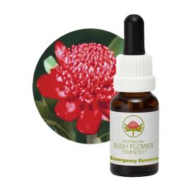 Floral Emergency Essence 15 ml