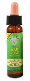 Floral Wild Rose 10 ml
