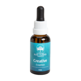 Floral Creative Criatividade 30 ml