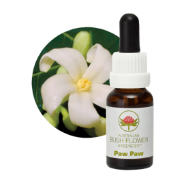 Floral Paw Paw 15 ml